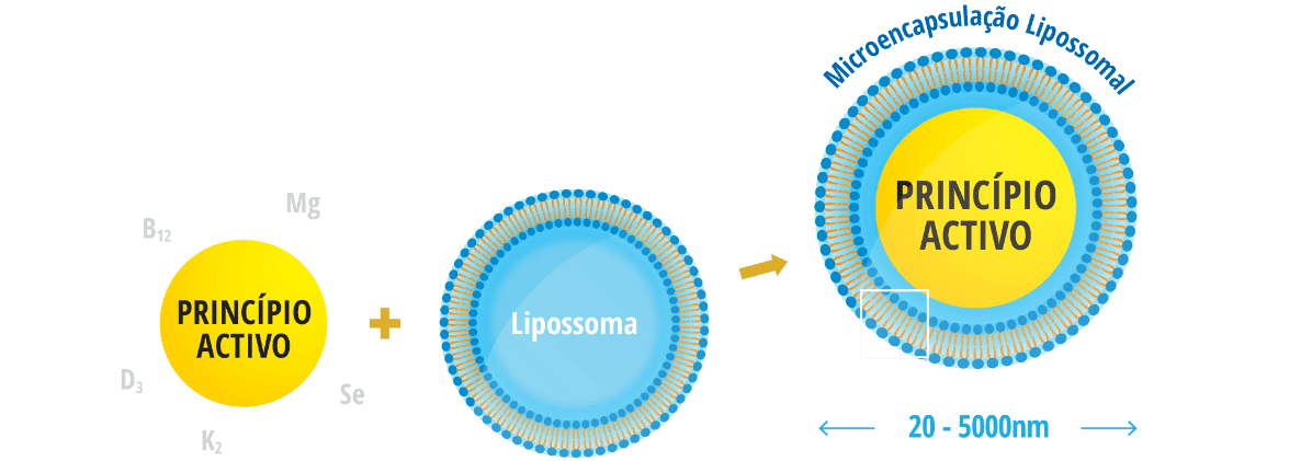Lipossomas 2 Img MicroencapsulacaoLipossomal