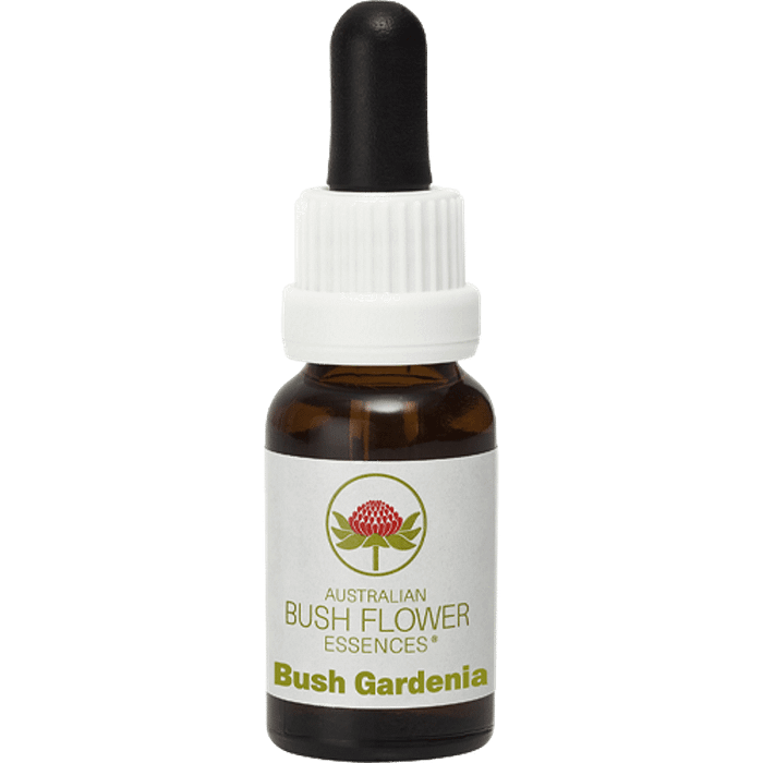 Bush Gardenia