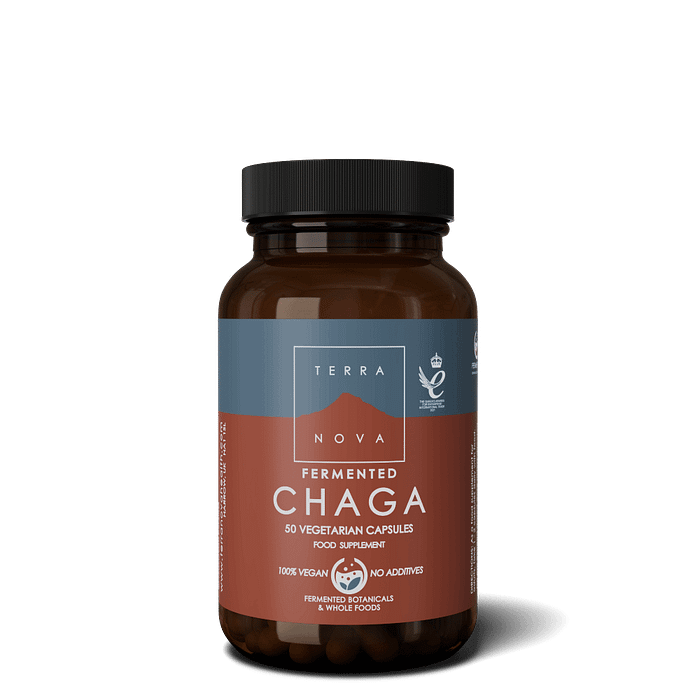 Fermented Chaga, sem glúten, adequado a vegans e vegetarianos