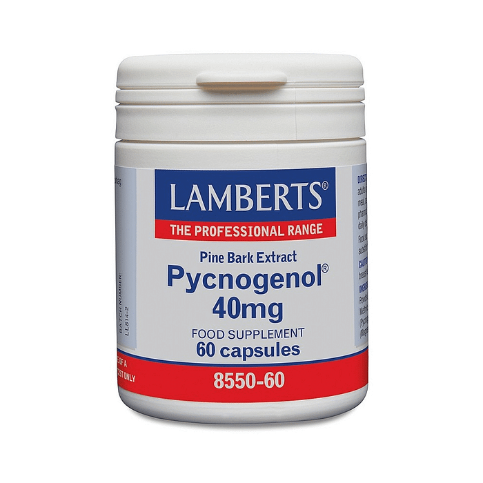 Pycnogenol, um extrato da casca do pinheiro bravo