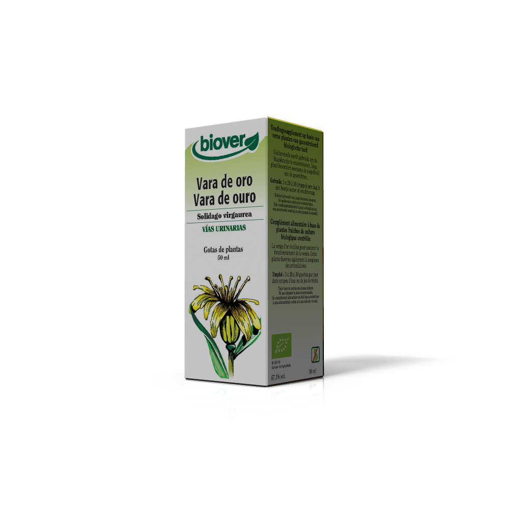 Vara de Ouro tintura 3D Solidago Virgaurea, biológico
