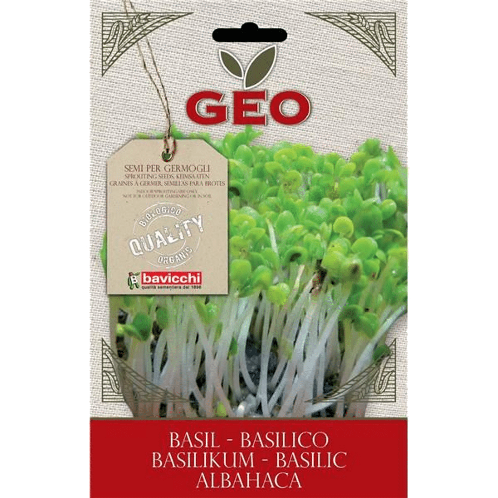 Manjericão Semente Germinar Bio Bavicchi Manjericão - Sementes para Germinar, biológico