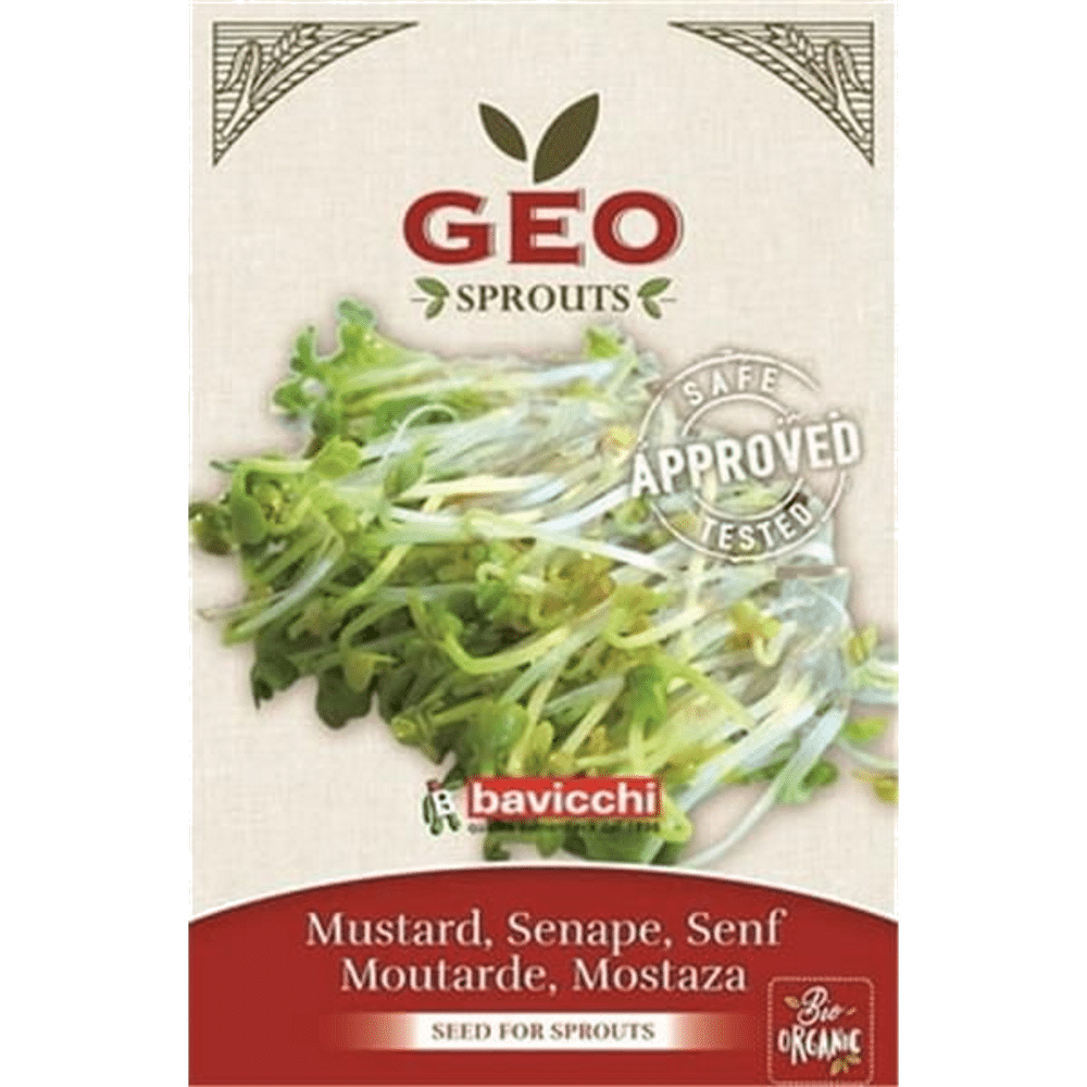 Mostarda Semente Germinar Bio Bavichi Mostarda - Sementes para Germinar, biológico