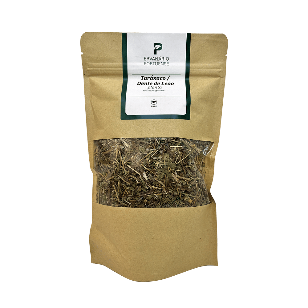 Taraxaco-Dente-Leao-Planta-xl Taraxaco-Dente-Leao-Planta