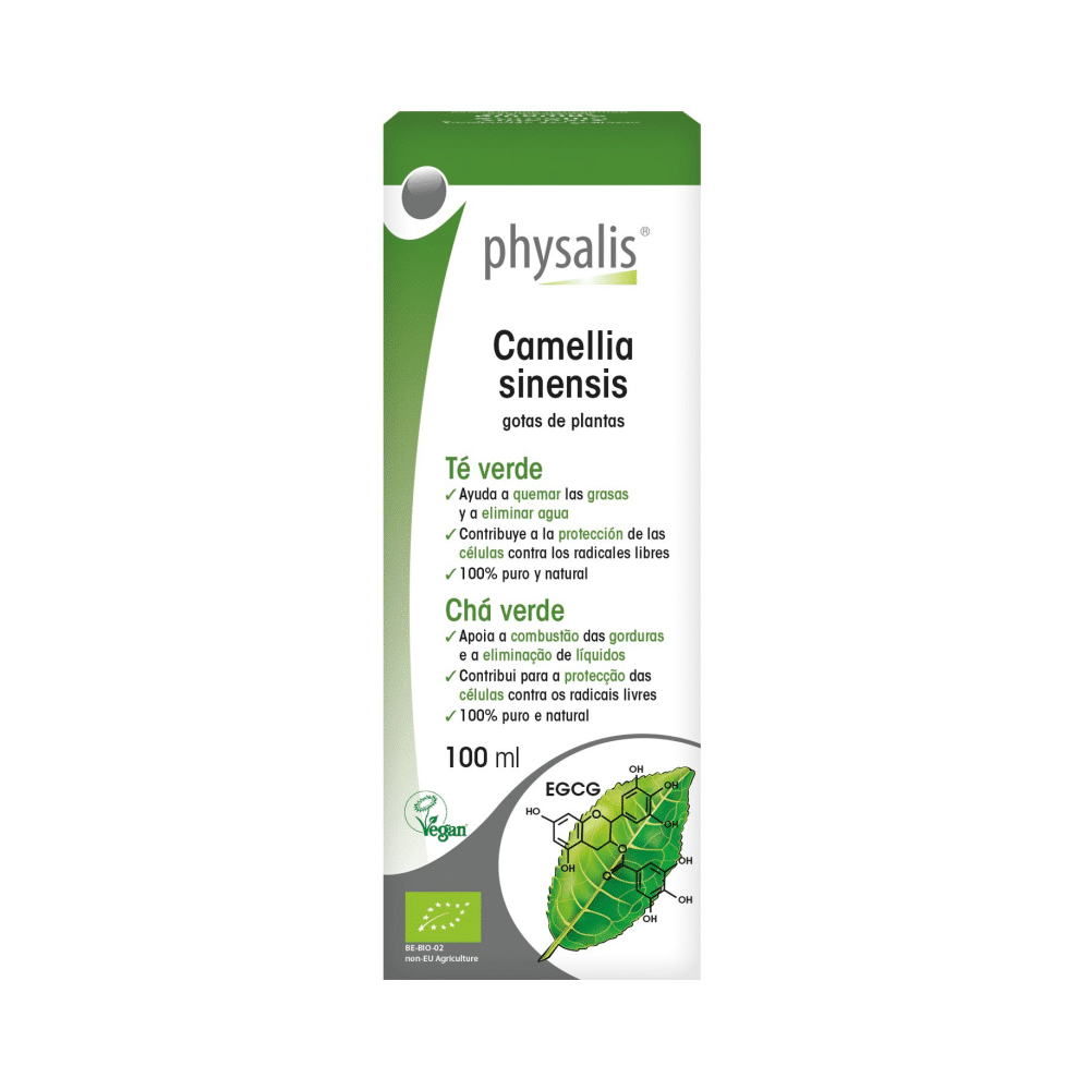 Camellia Sinensis gotas Bio 100ml Physalis Camellia sinensis gotas de plantas com ingredientes provenientes de agricultura biológica, adequado para vegans