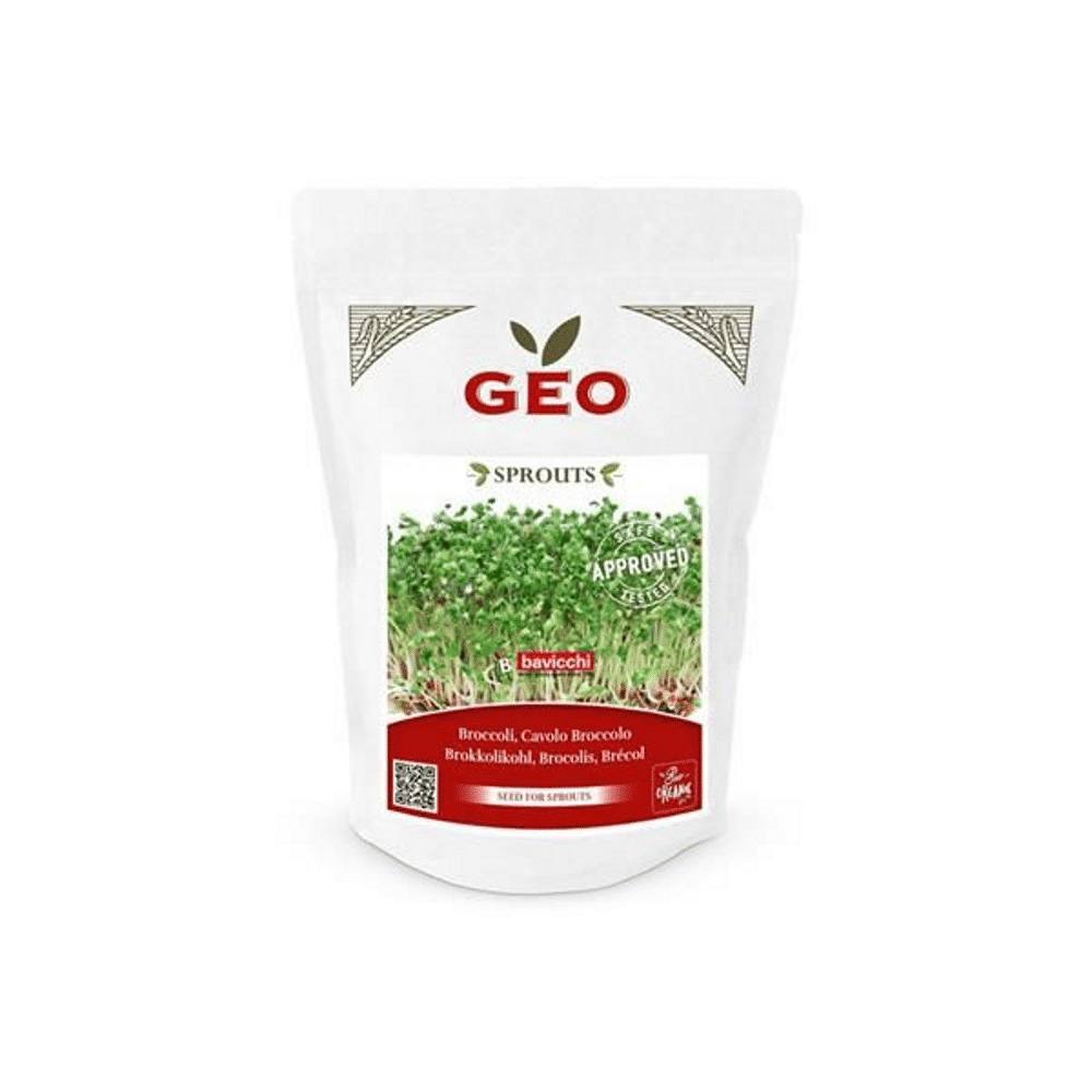 Sementes para germinar brócolos bio 300gr Bavicchi Brócolos - Sementes para Germinar de agricultura biológica