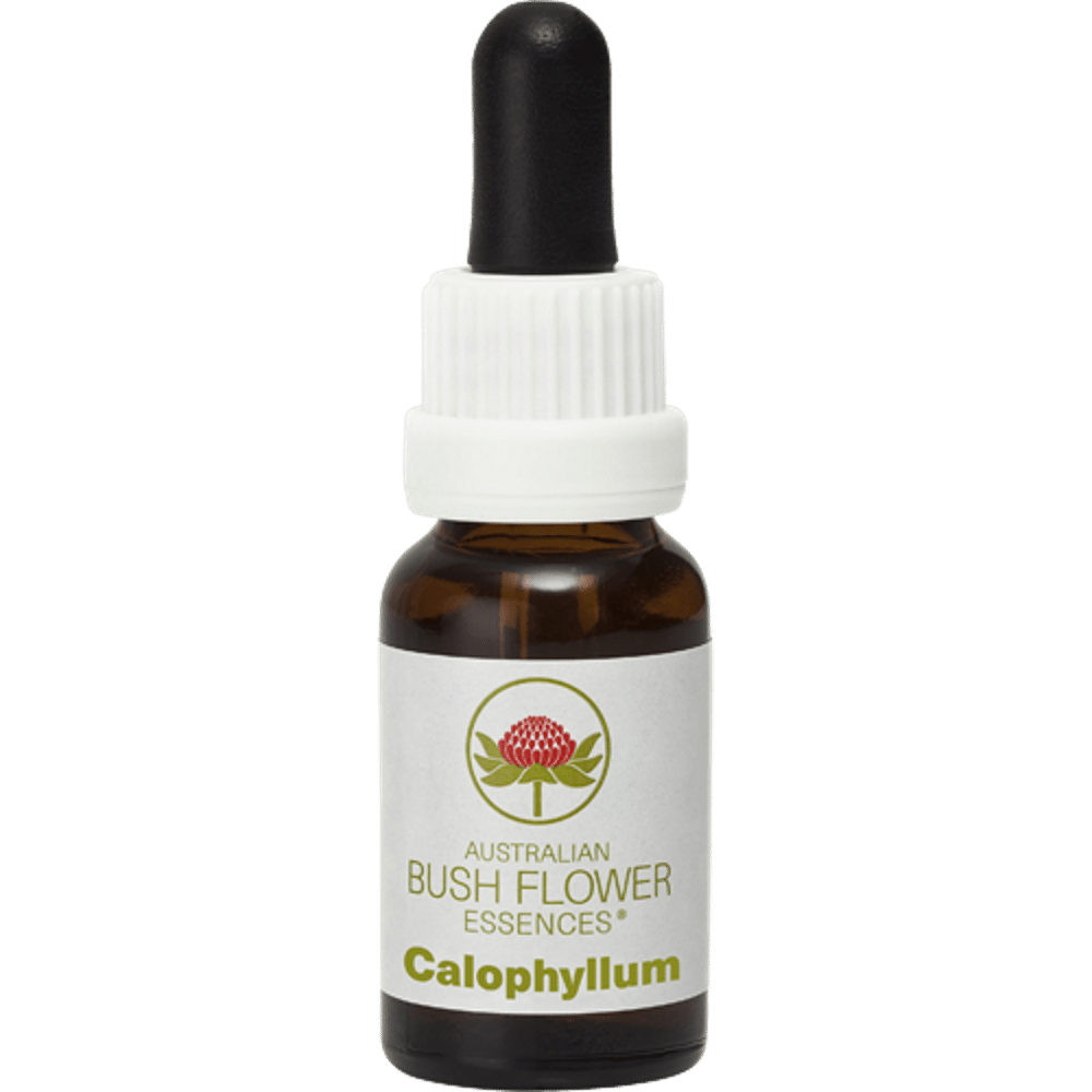 Calophyllum 15ml Australian Bush Flower Essences Calophyllum