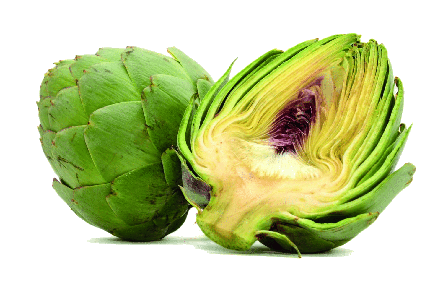 alcachofra bio eco Alcachofra Bio Eco