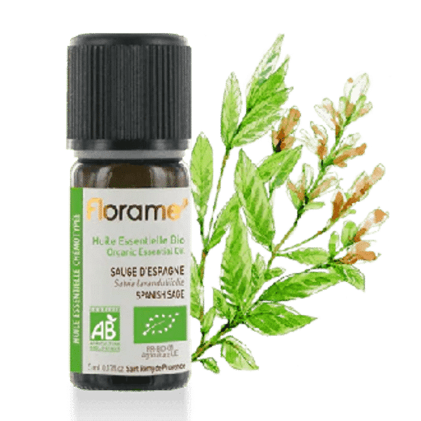 Óleo Essencia de Salva Salvia lavandulifolia Org 5 ml Óleo Essencial de Salva Lavandulifolia, biológico