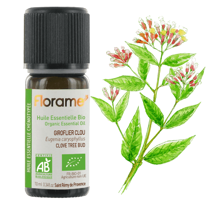 cravinho 10ml florame Óleo Essencial Cravinho