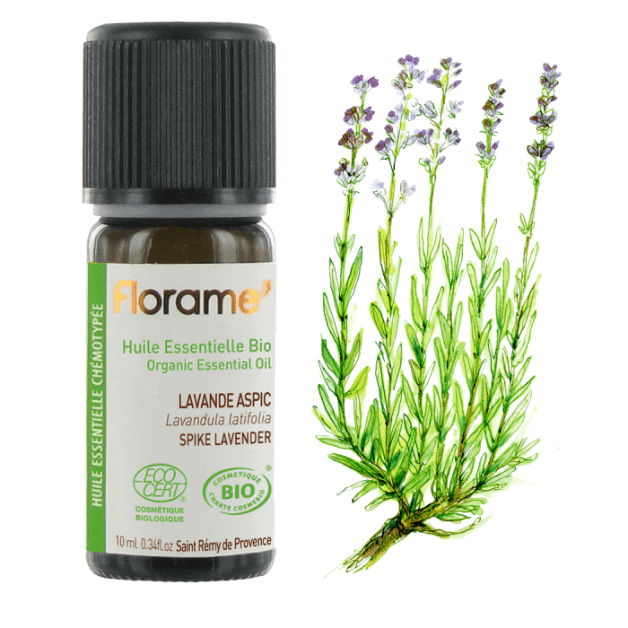 lavanda aspic 10ml florame Óleo Essencial Lavanda Spic