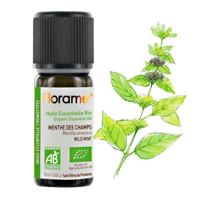 menta 10ml florame Óleo Essencial Menta