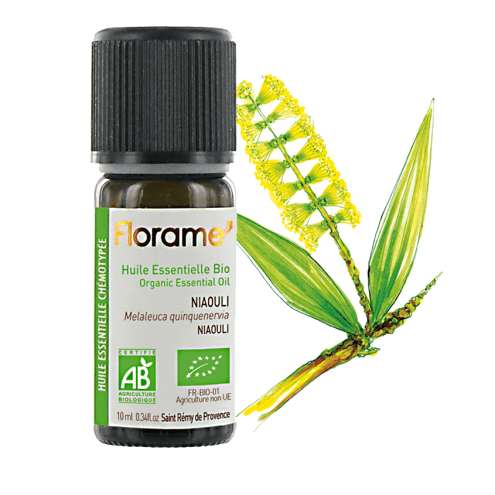 niaouli 10ml florame Óleo Essencial Niaouli Melaleuca