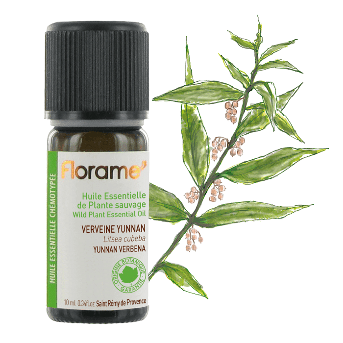 verbena 10ml florame Óleo Essencial Verbena
