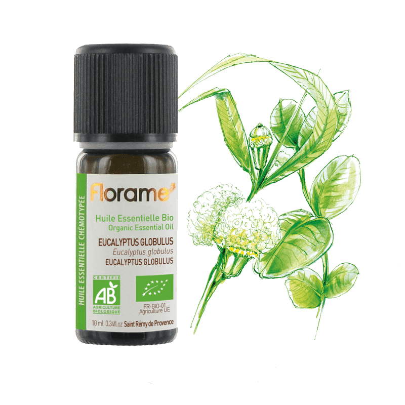 eucalyptus globulus 10ml florame Óleo Essencial Eucalipto Globulus