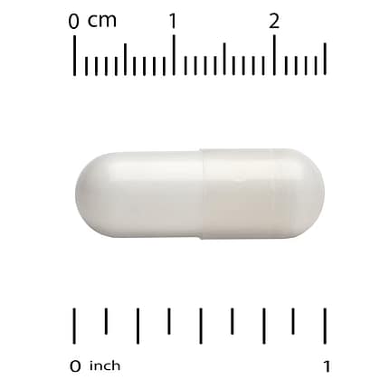 Neuro-Mag Magnesium L-Threonate Suplemento Alimentar Life Extension Cérebro