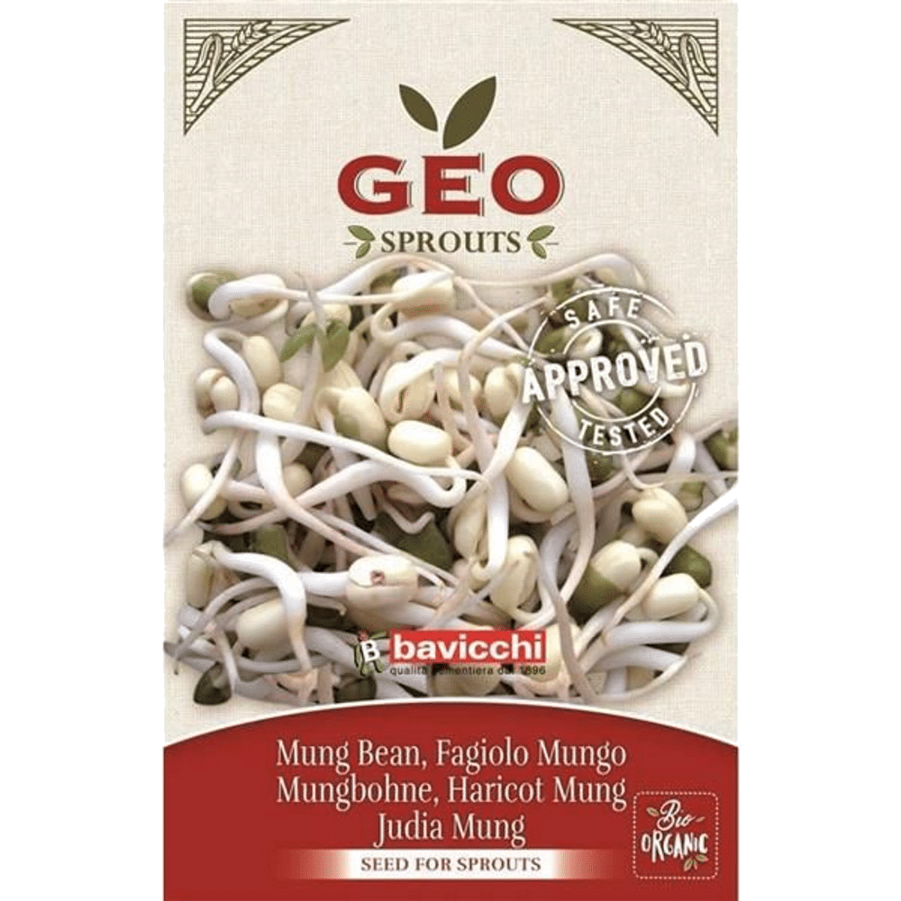 Feijão Mungo Semente Germinar Bio Bavicchi Feijão Mungo - Sementes para Germinar, biológico