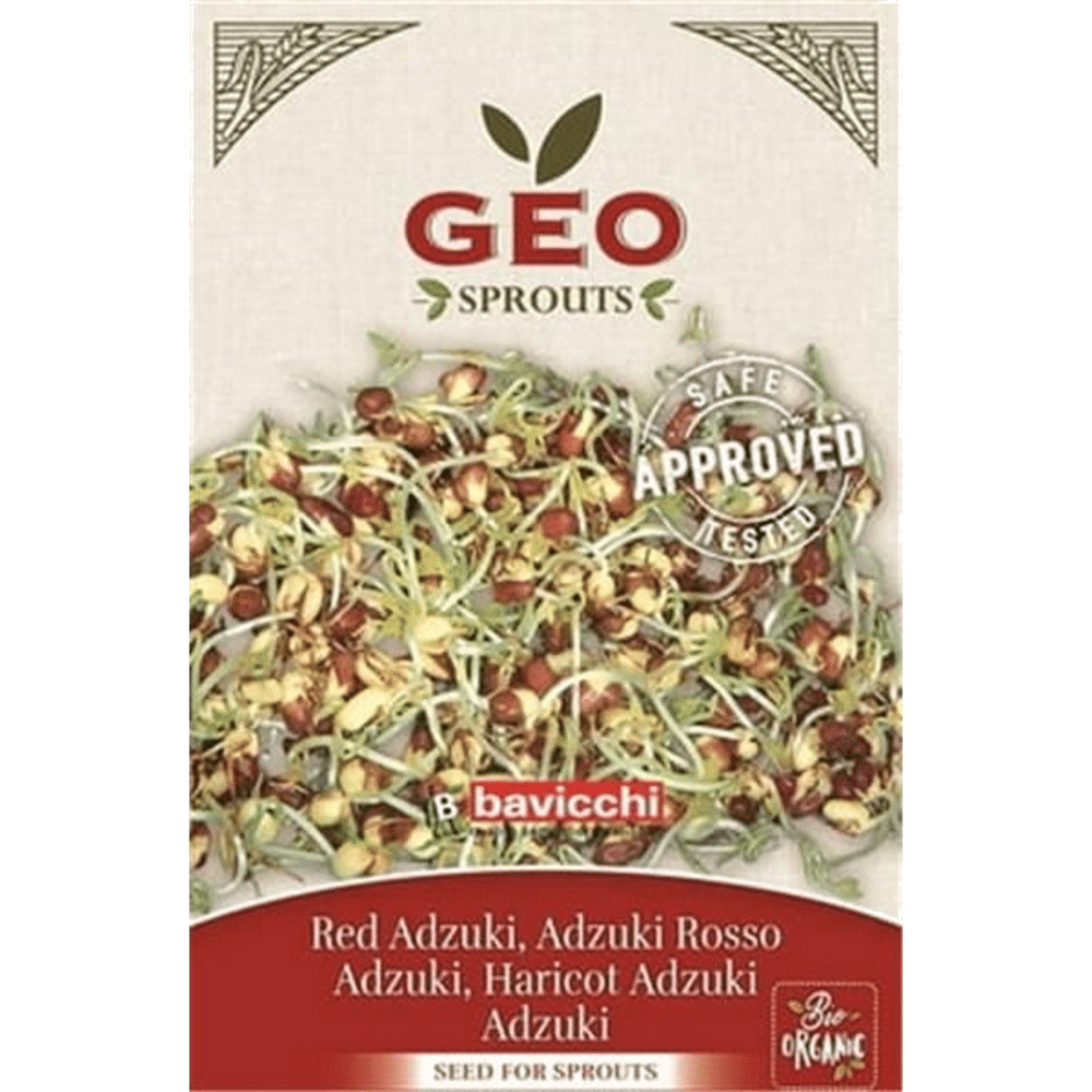 Feijão Vermelho Semente Germinar Bio Bavicchi Feijão Vermelho - Sementes para Germinar, biológico