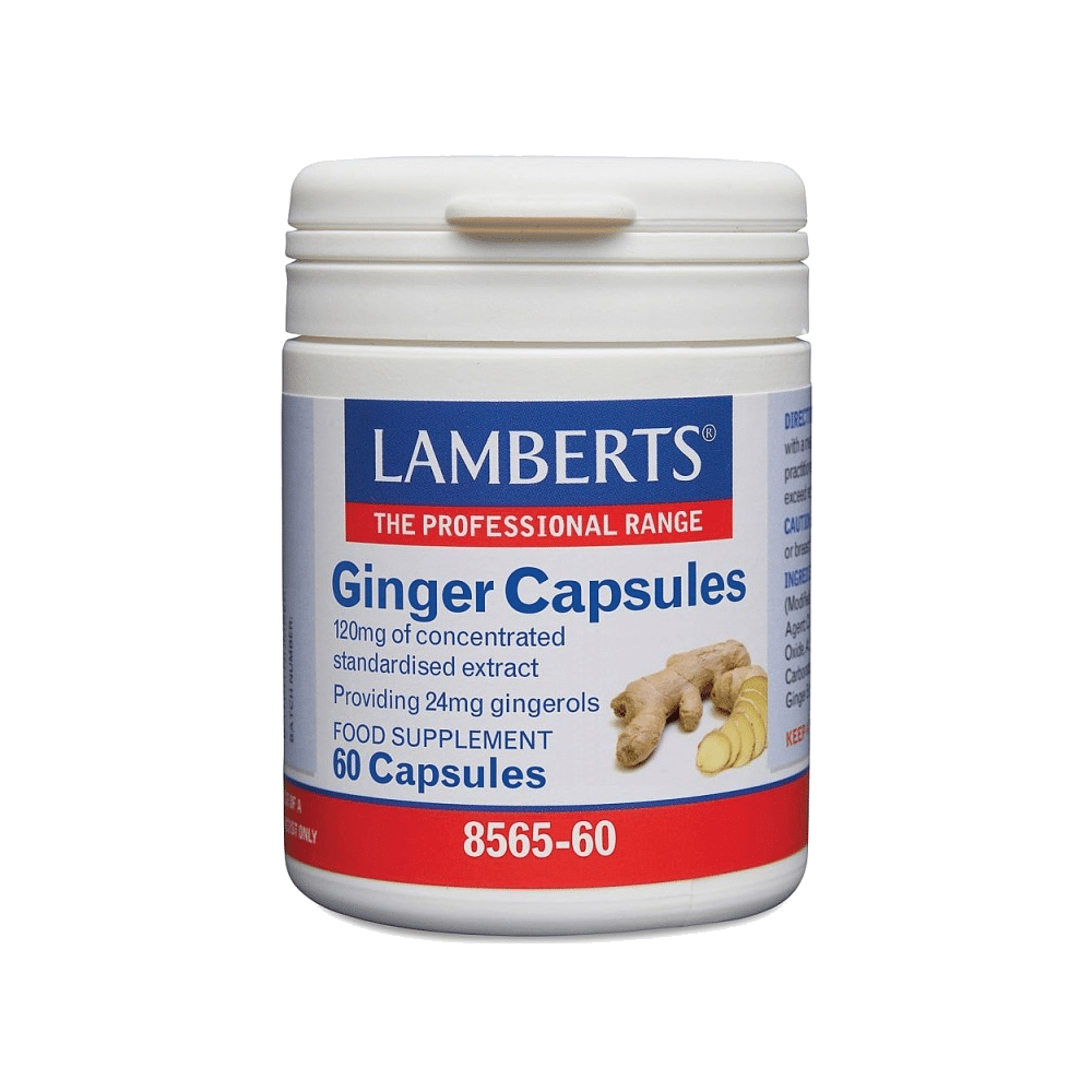 Gengibre Raiz 14.400 Mg 60 Caps Gengibre 120 mg, suplemento alimentar