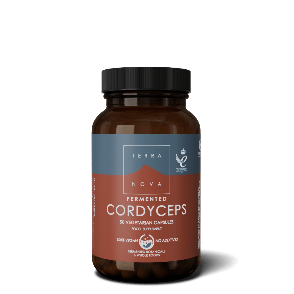 Fermented Cordyceps, sem glúten, adequado a vegans e vegetarianos