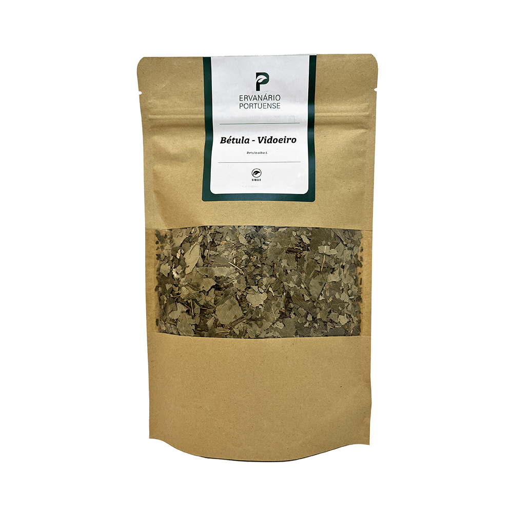 Betula-Vidoeiro-xl Betula-Vidoeiro