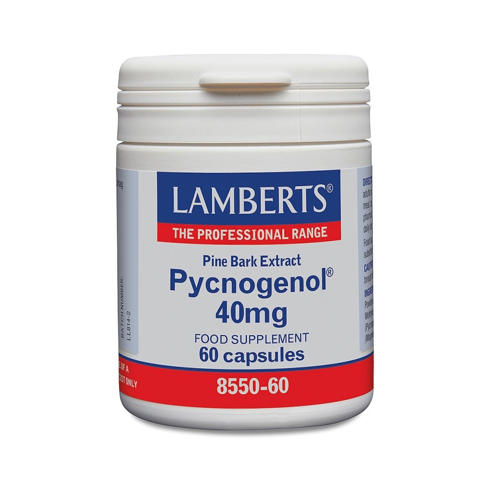 Pycnogenol 60caps Lamberts Pycnogenol, um extrato da casca do pinheiro bravo