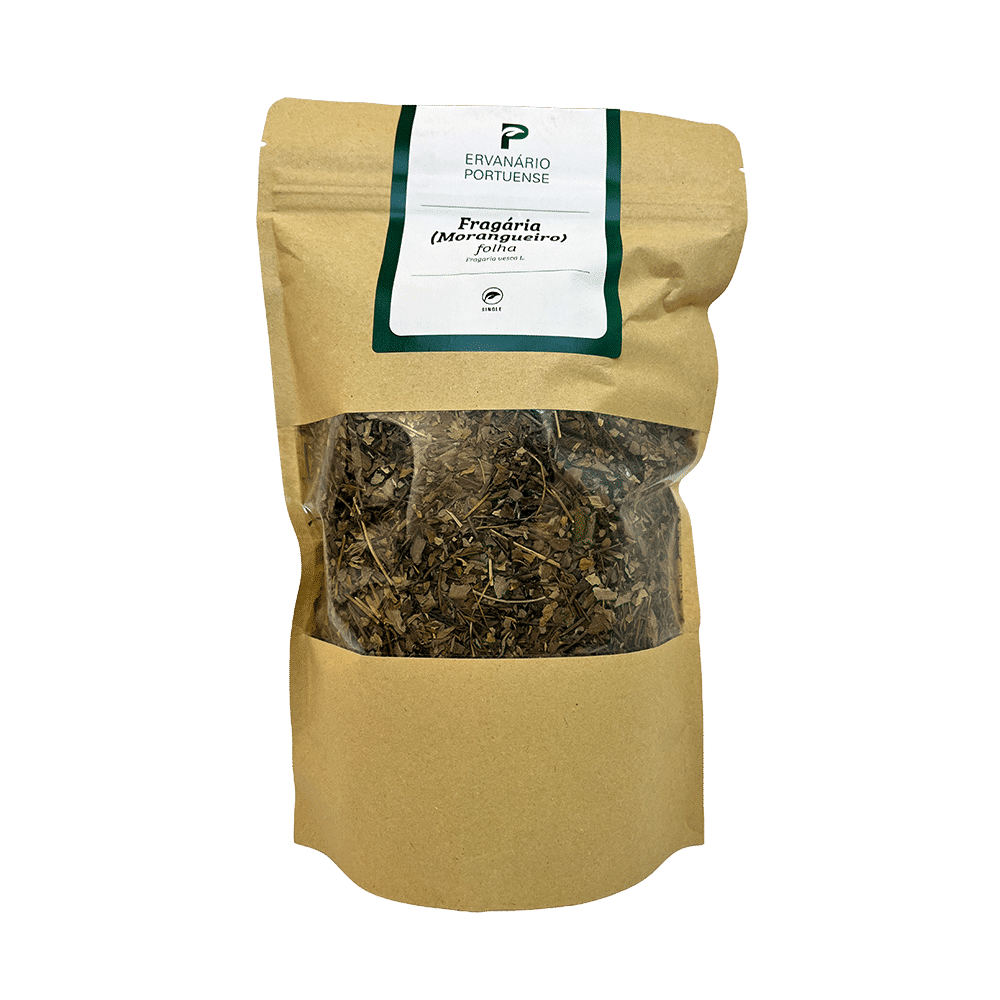 Fragaria-Morangueiro-Folha-XL-100 Fragaria Morangueiro Folha