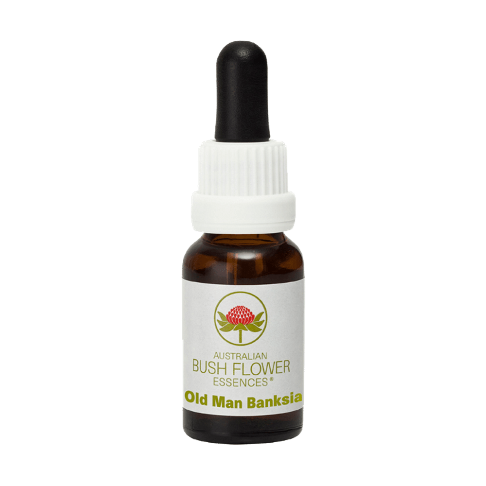 Old Man Banksia 15ml Australian Bush Flower Essences Old Man Banksia