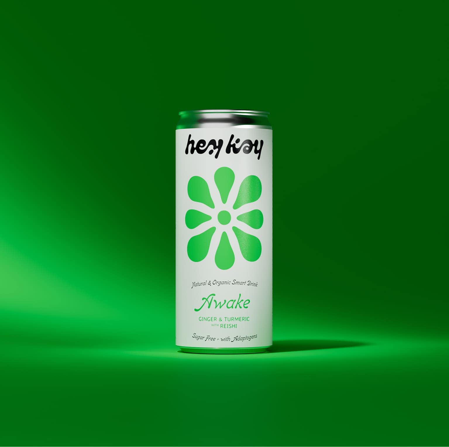 Bebida funcional Awake (Gengibre e curcuma com reishi) bio 250ml Hey Kay 5 Bebida funcional Awake