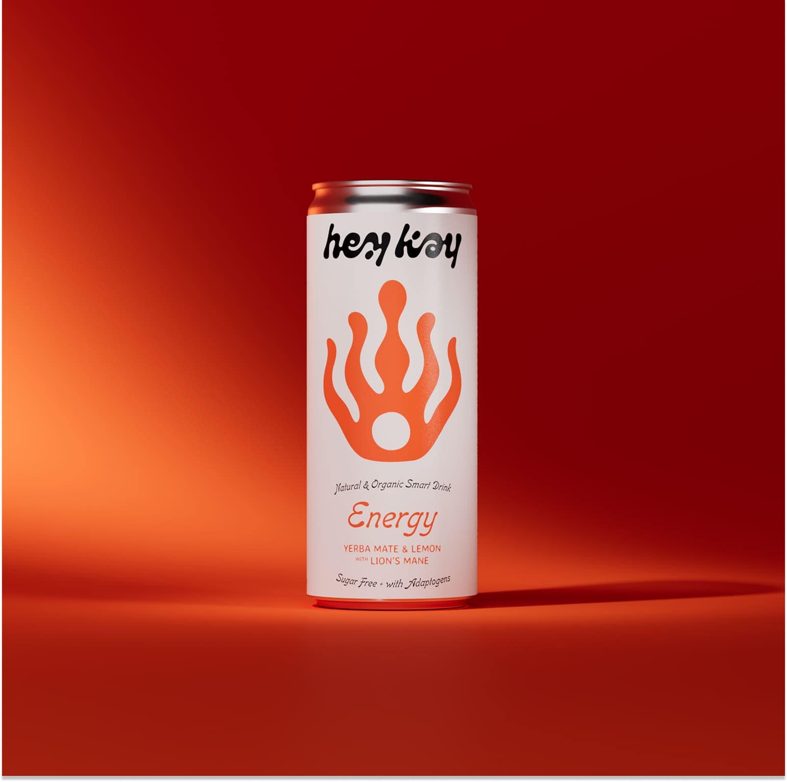 Bebida funcional Energy (erva mate guarana e juba de leao) bio 250ml Hey Kay 4 Bebida funcional Energy