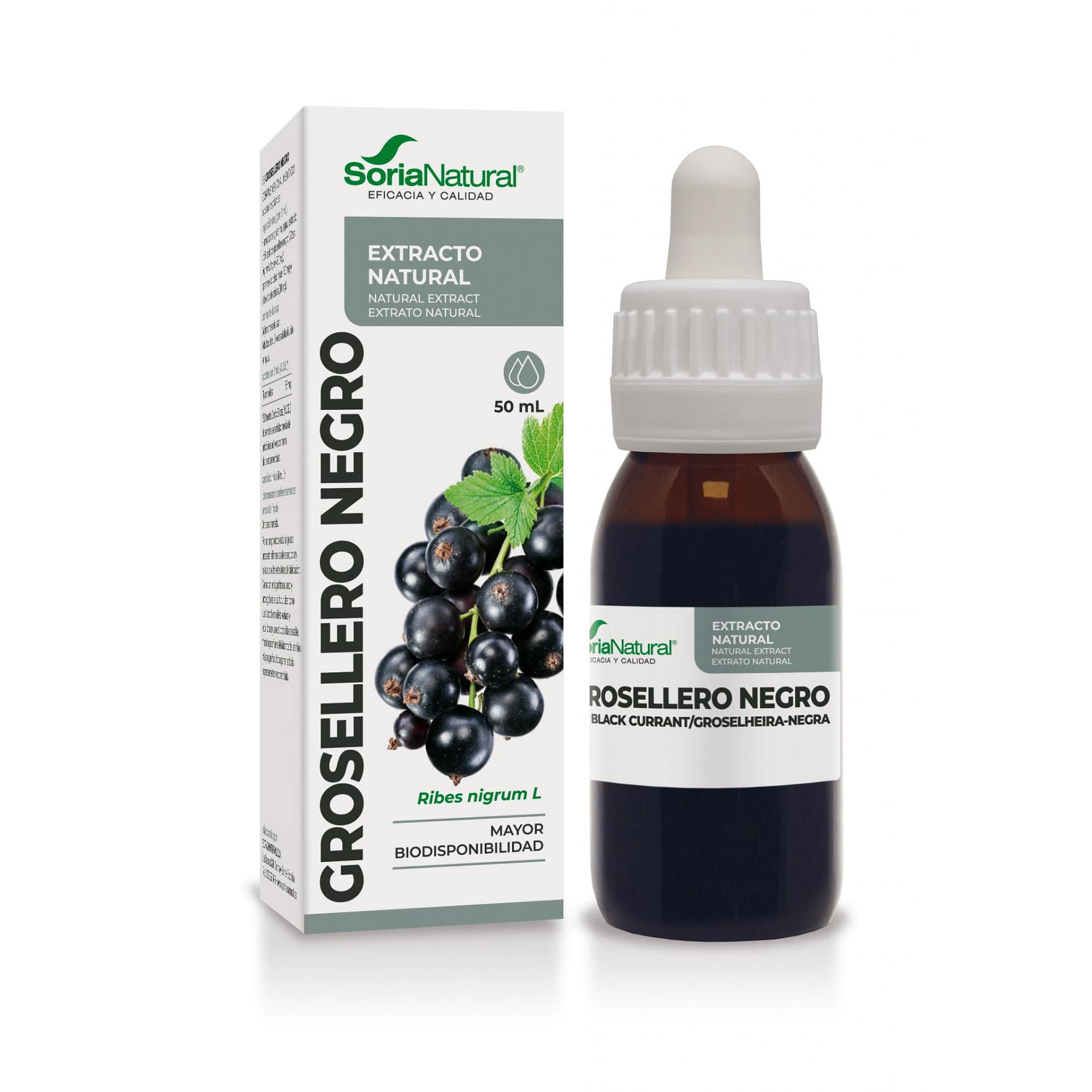 Extrato Groselheiro Negro Soria Natural Circulação Alergias Anti-Histamínico