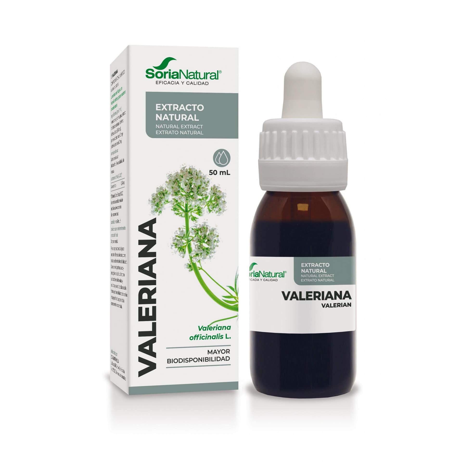 Extrato Tomilho Soria Natural Sistema Nervoso Insônias