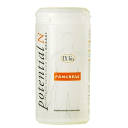 Potential N IX bis, Pâncreas