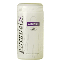 Potential N XIV, Laringe