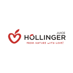hollinger-logo