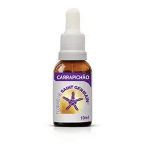 Floral Carrapichão, floral