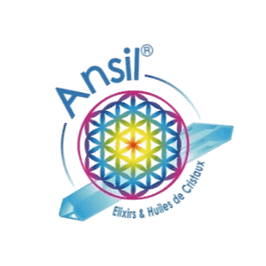 Ansil Logo