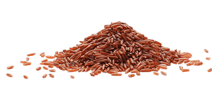 Levedura Vermelha do Arroz