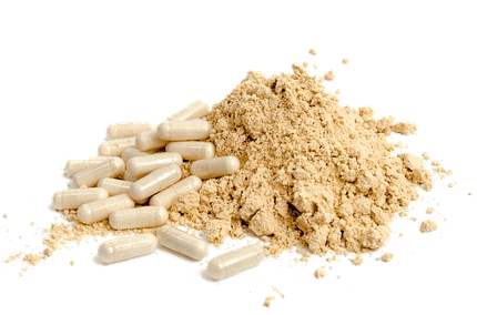 Levedura de Cerveja Revivificável Bio Eco