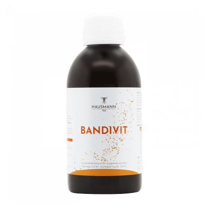 Bandivit Suplemento Alimentar Hausmann Tec Fadiga Sistema Imunitário Antioxidante