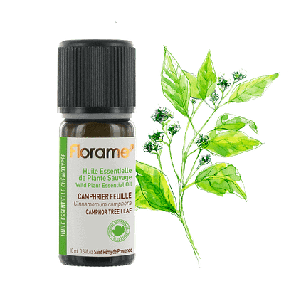 Óleo Essencial Cânfora Folha Selvagem