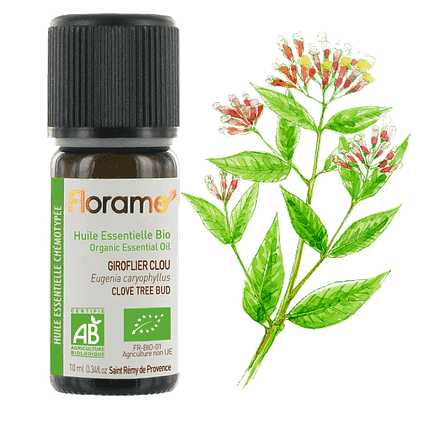 Óleo Essencial Cravinho