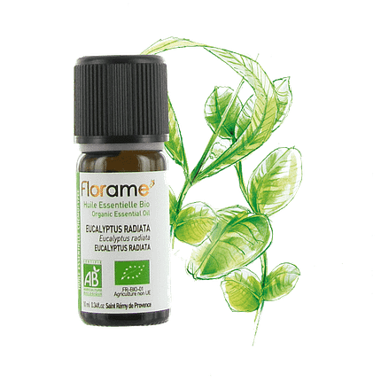 Óleo Essencial Eucalipto Radiata