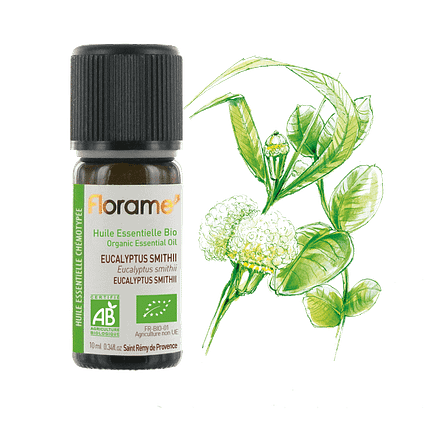 Óleo Essencial Eucalipto Smithii