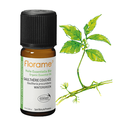 Óleo Essencial Gaultheria Procumbens