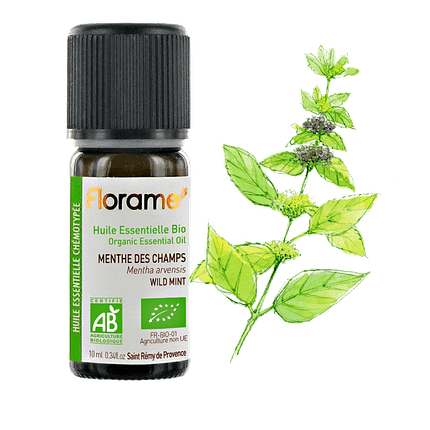 Óleo Essencial Menta