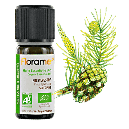 Óleo Essencial Pinho Silvestre