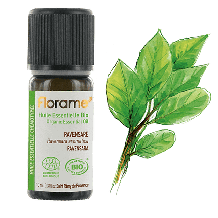 Óleo Essencial Ravensara