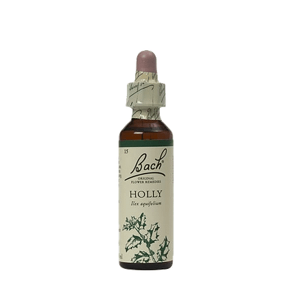 Holly Floral