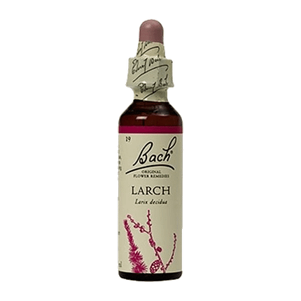 Larch Floral